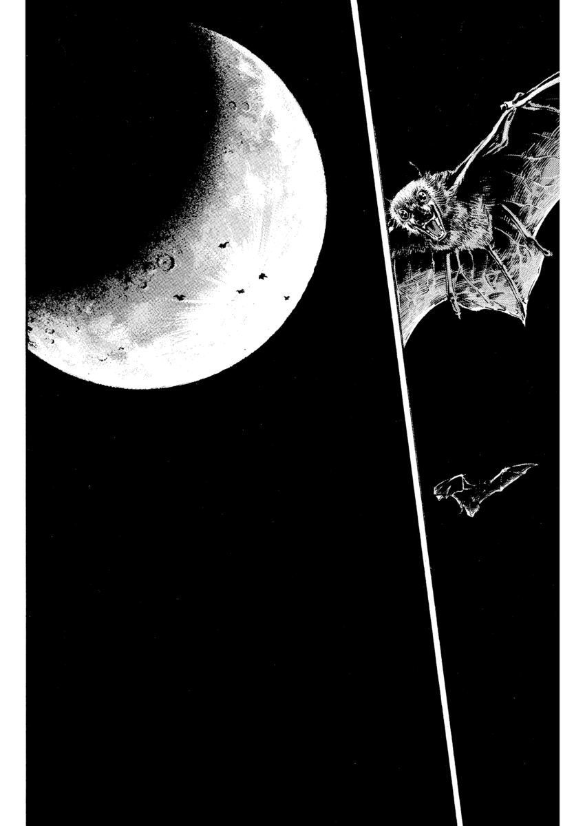 Read Shamo Manga Online