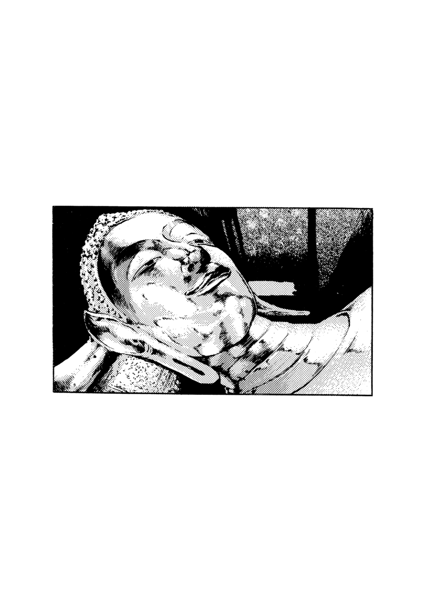 Read Shamo Manga Online