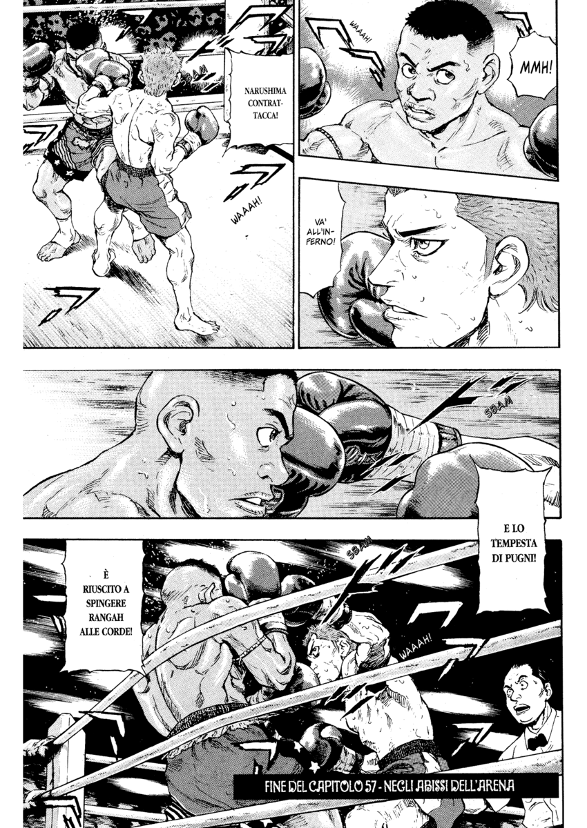 Read Shamo Manga Online