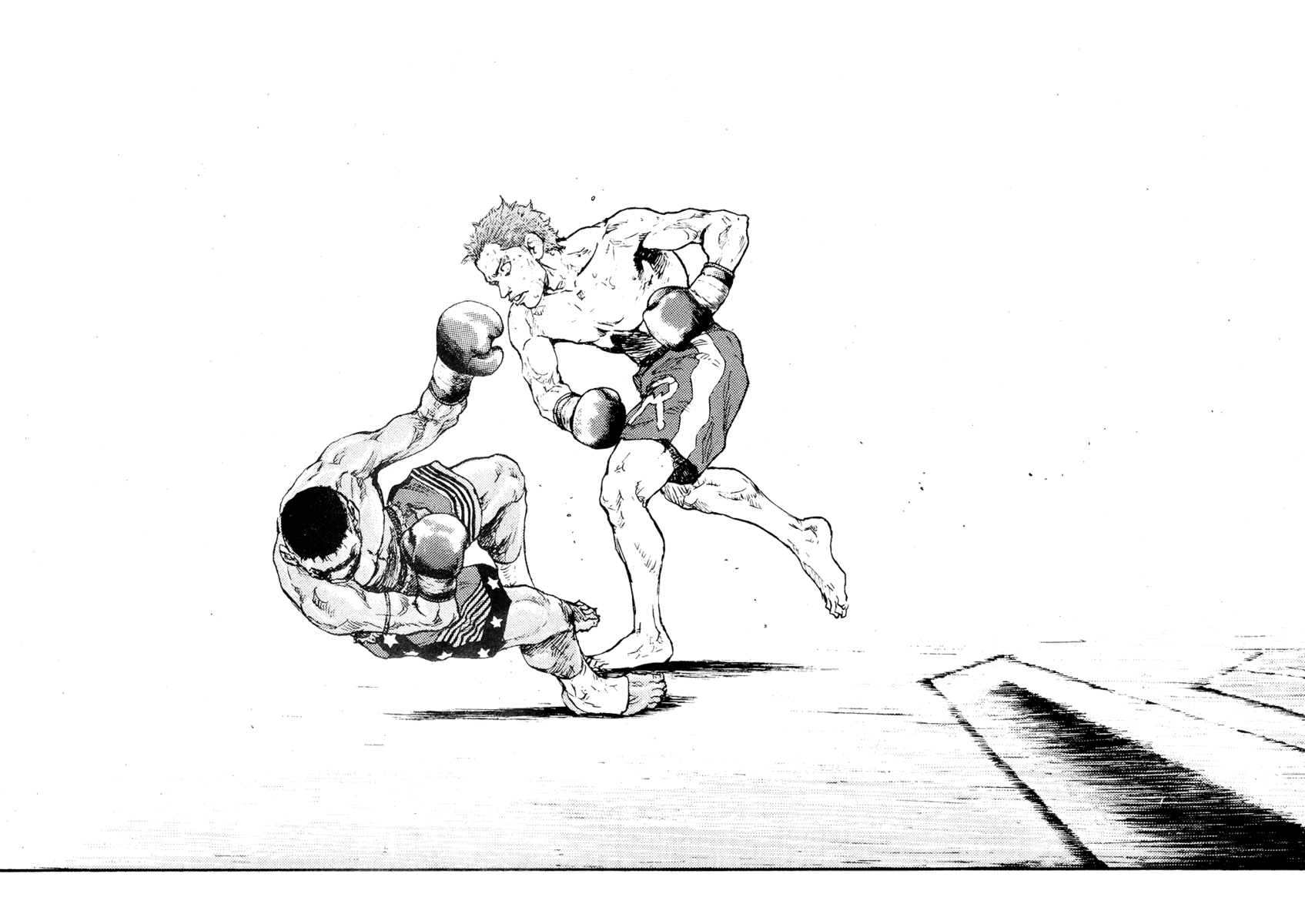 Read Shamo Manga Online