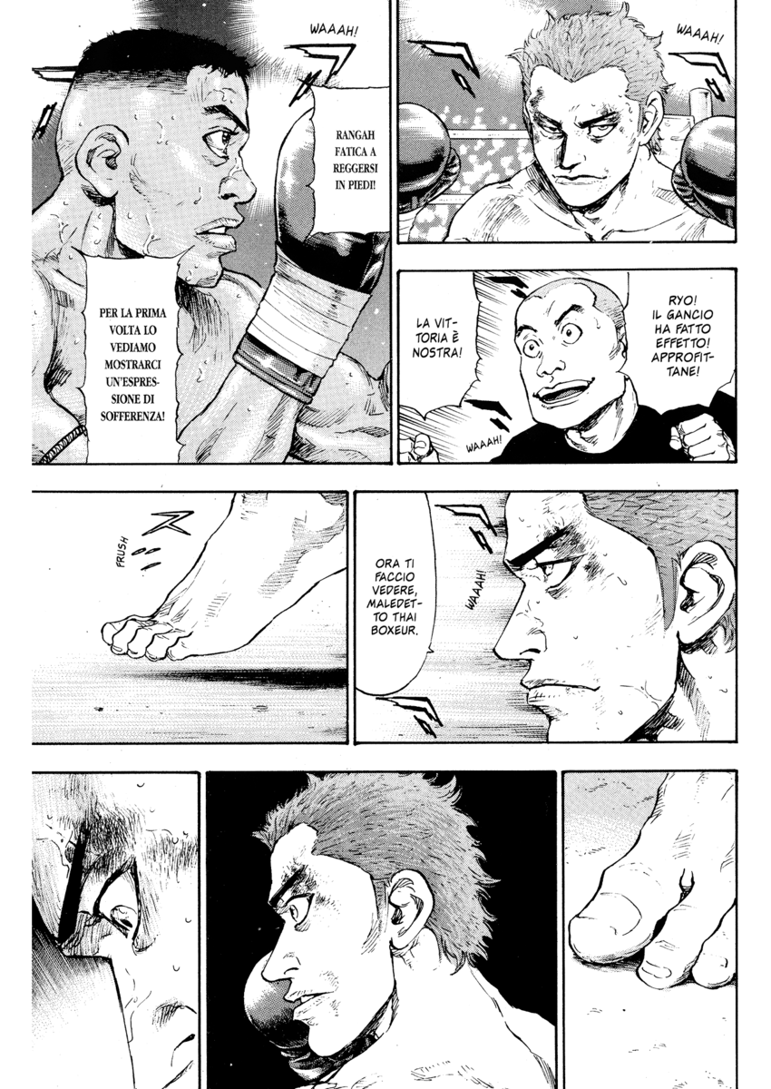 Read Shamo Manga Online