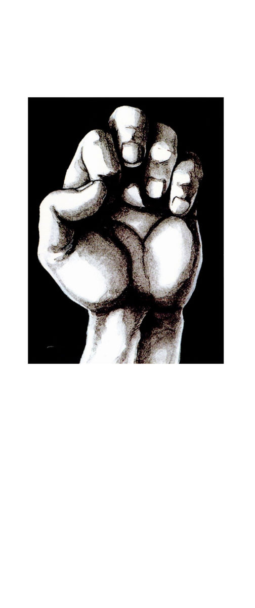 Read Shamo Manga Online