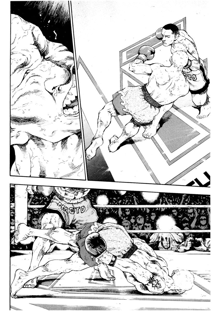 Read Shamo Manga Online