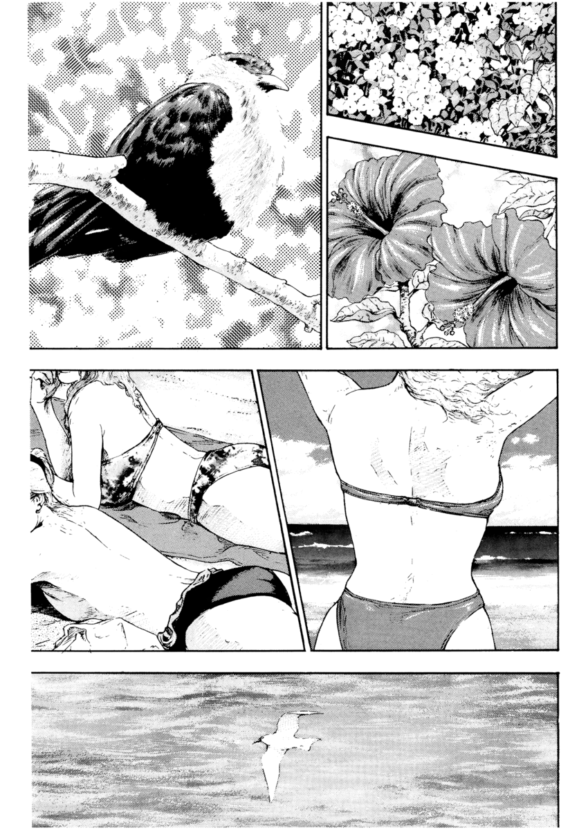 Read Shamo Manga Online