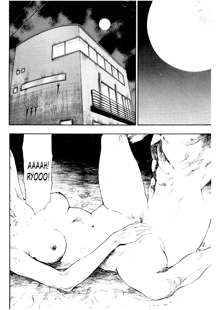 Read Shamo Manga Online