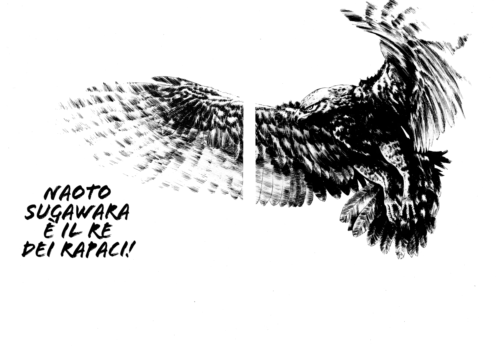 Read Shamo Manga Online