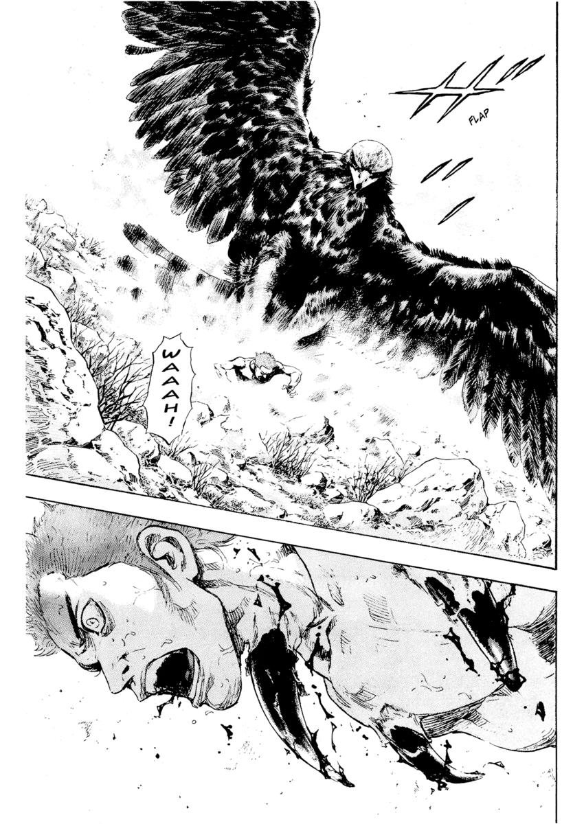 Read Shamo Manga Online
