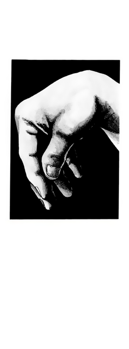 Read Shamo Manga Online