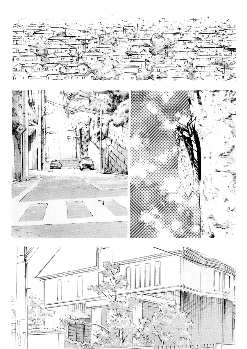 Read Shamo Manga Online