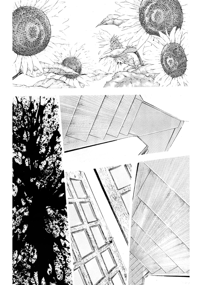 Read Shamo Manga Online