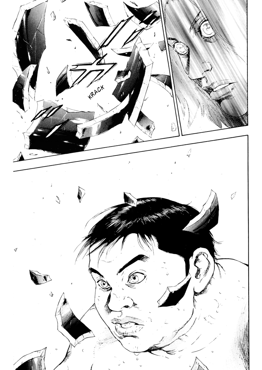 Read Shamo Manga Online