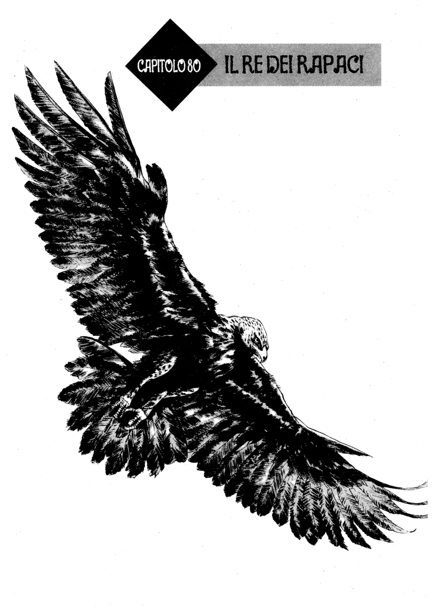 Read Shamo Manga Online