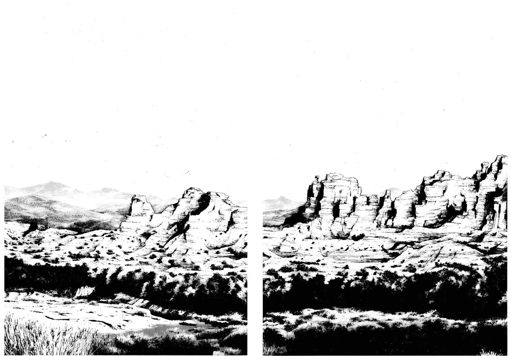 Read Shamo Manga Online