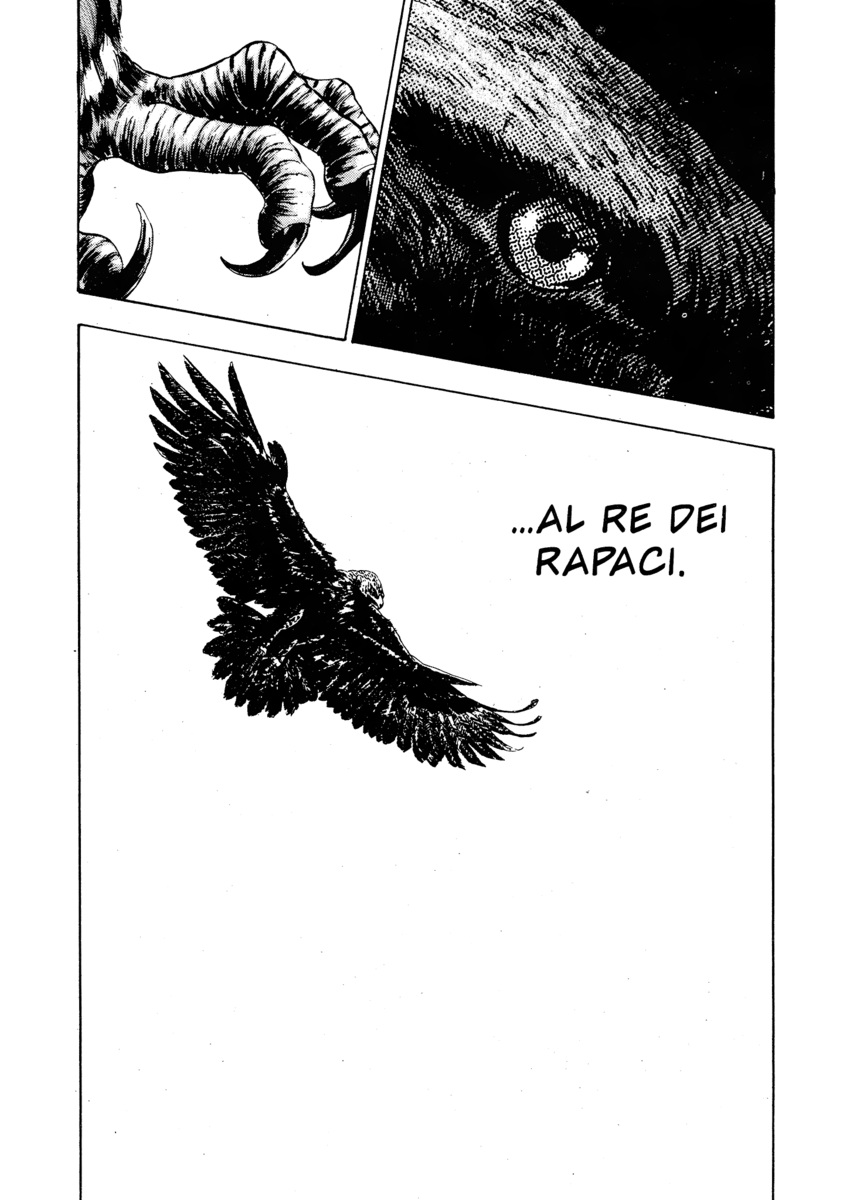 Read Shamo Manga Online