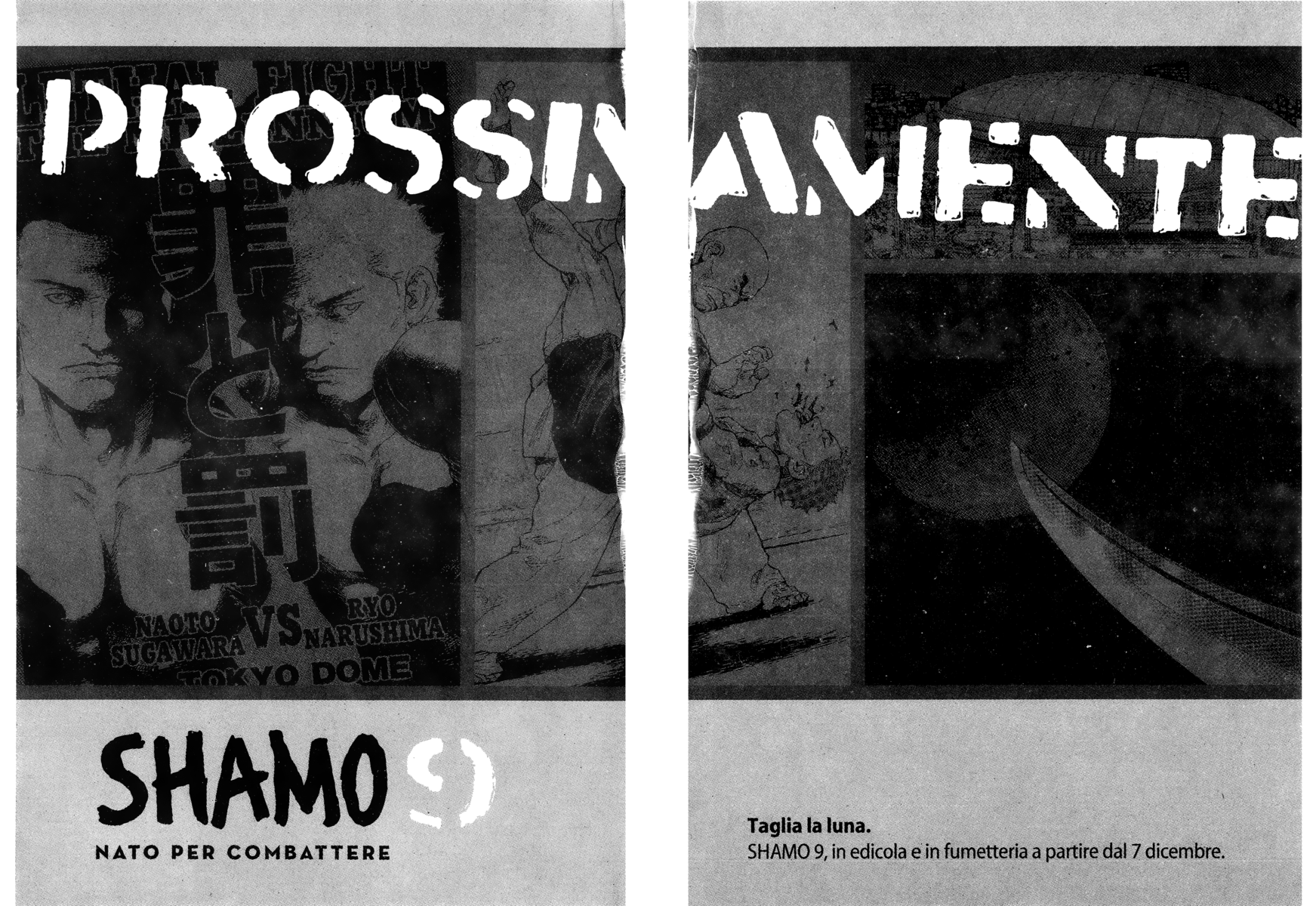 Read Shamo Manga Online