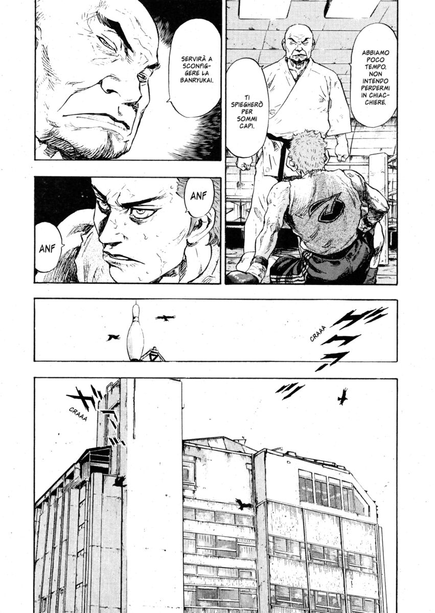 Read Shamo Manga Online