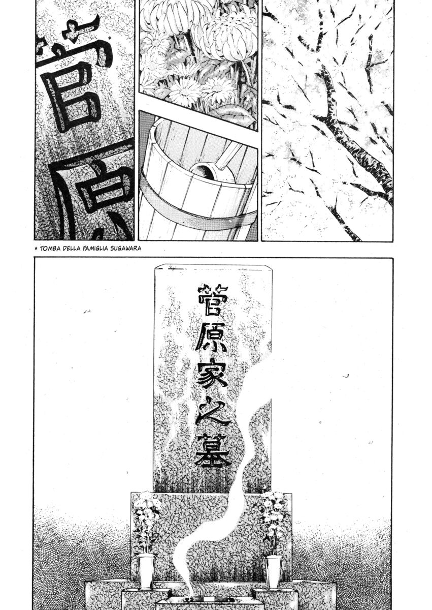 Read Shamo Manga Online