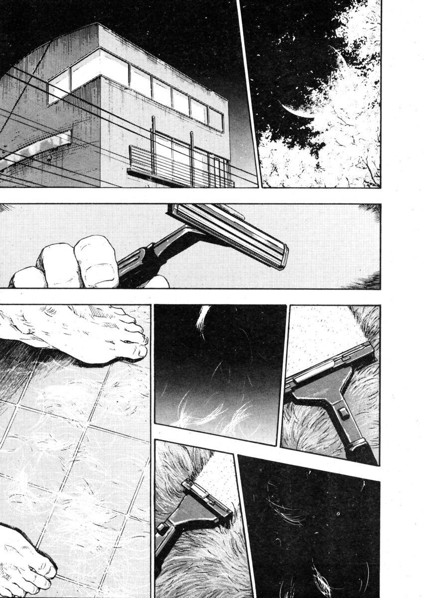 Read Shamo Manga Online