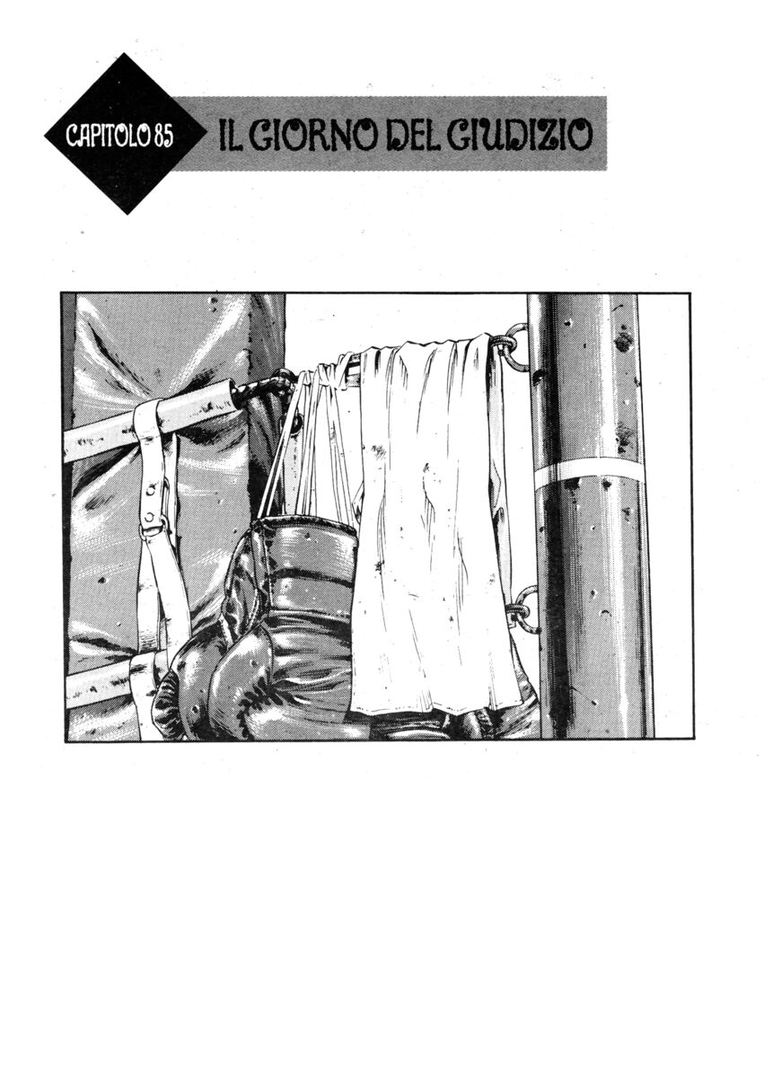 Read Shamo Manga Online