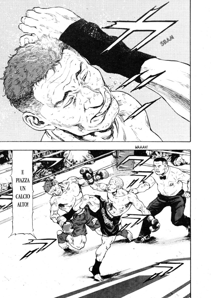 Read Shamo Manga Online