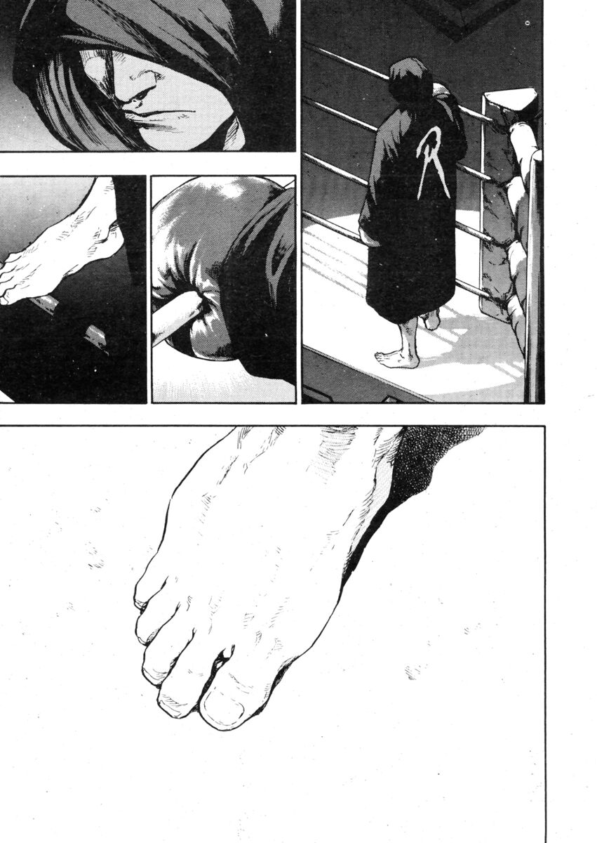 Read Shamo Manga Online