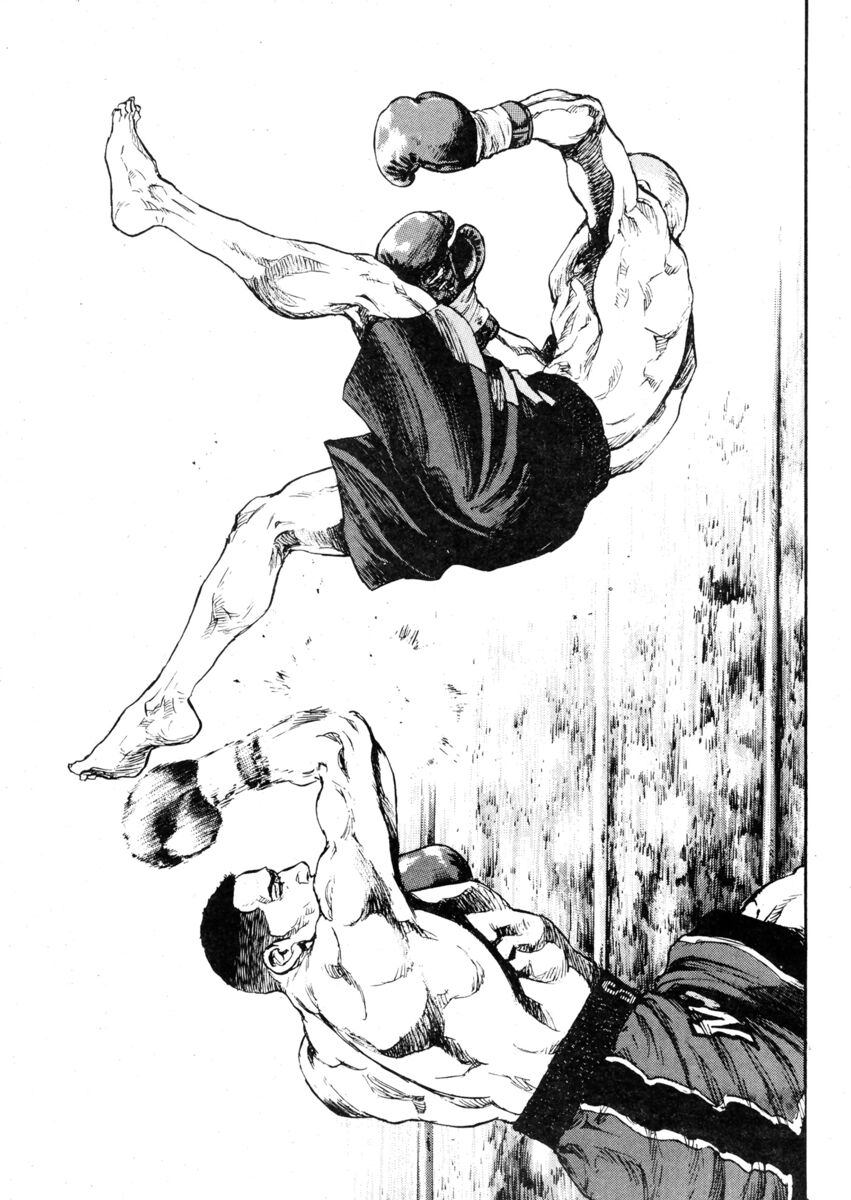 Read Shamo Manga Online