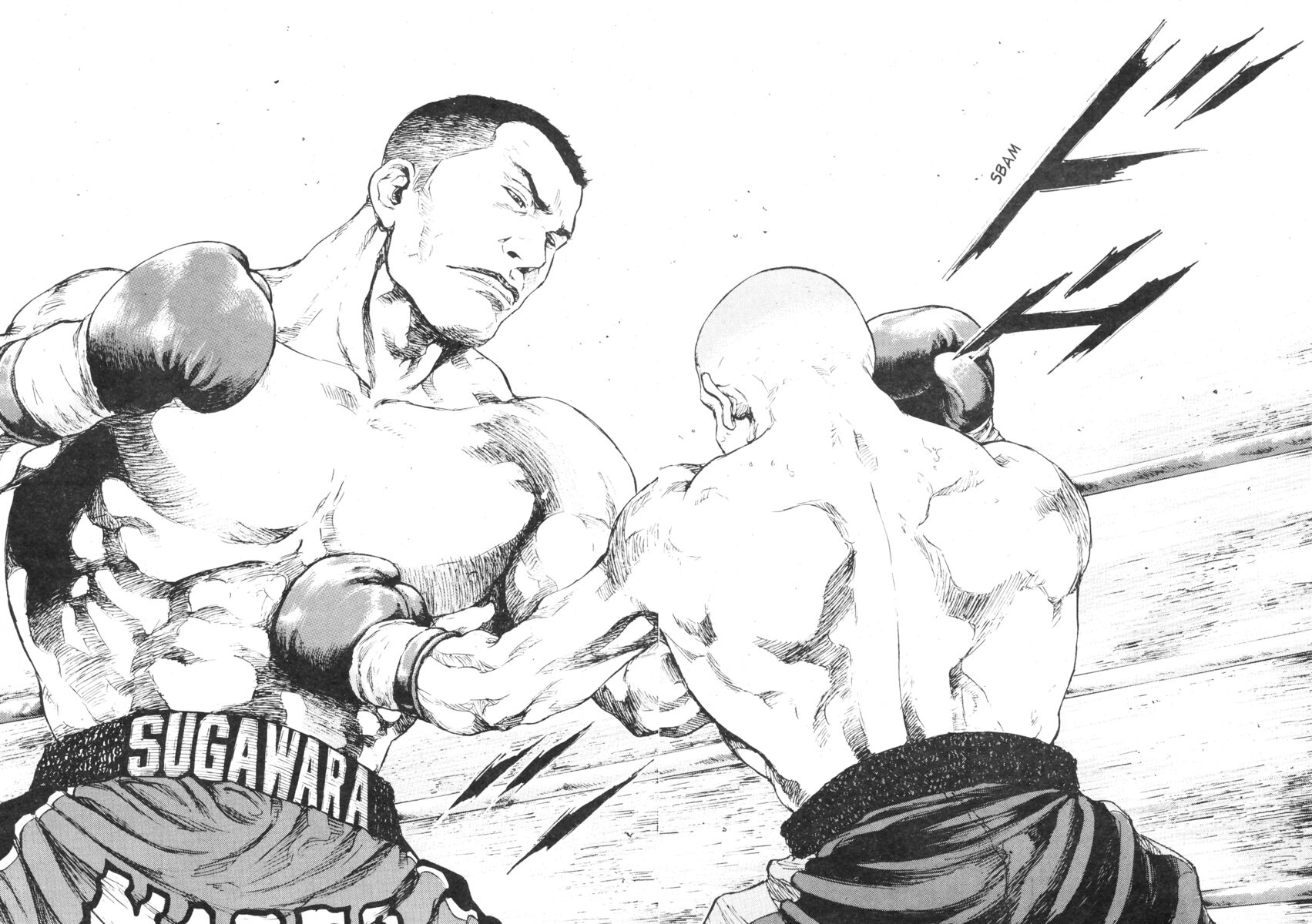 Read Shamo Manga Online