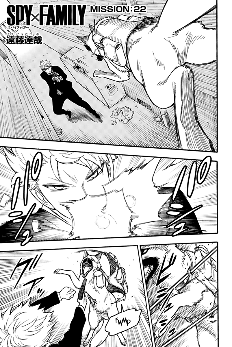 Read Spy x Family Manga Online