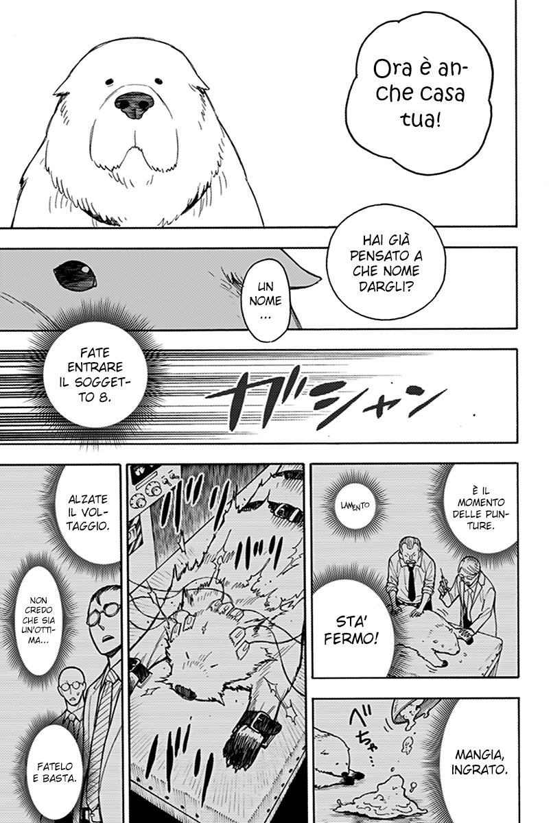 Read Spy x Family Manga Online