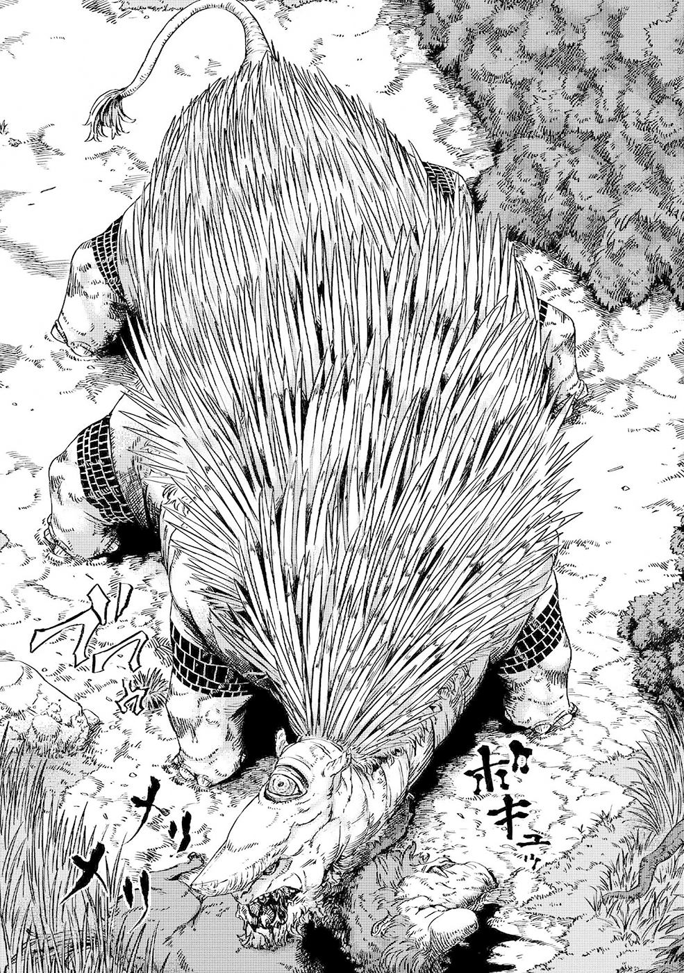 Read The Wolf Won't Sleep Manga Online