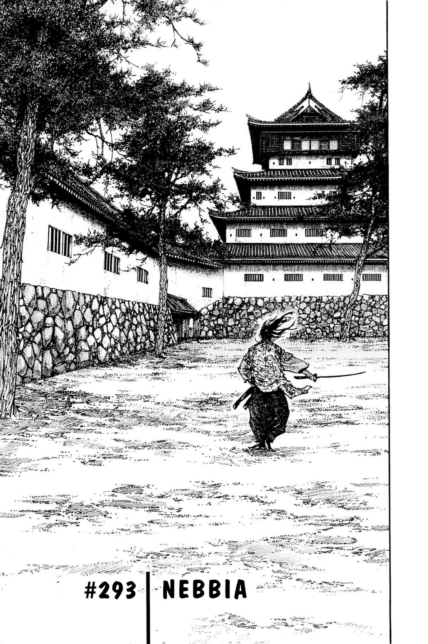 Read Vagabond Vol1 Manga Online