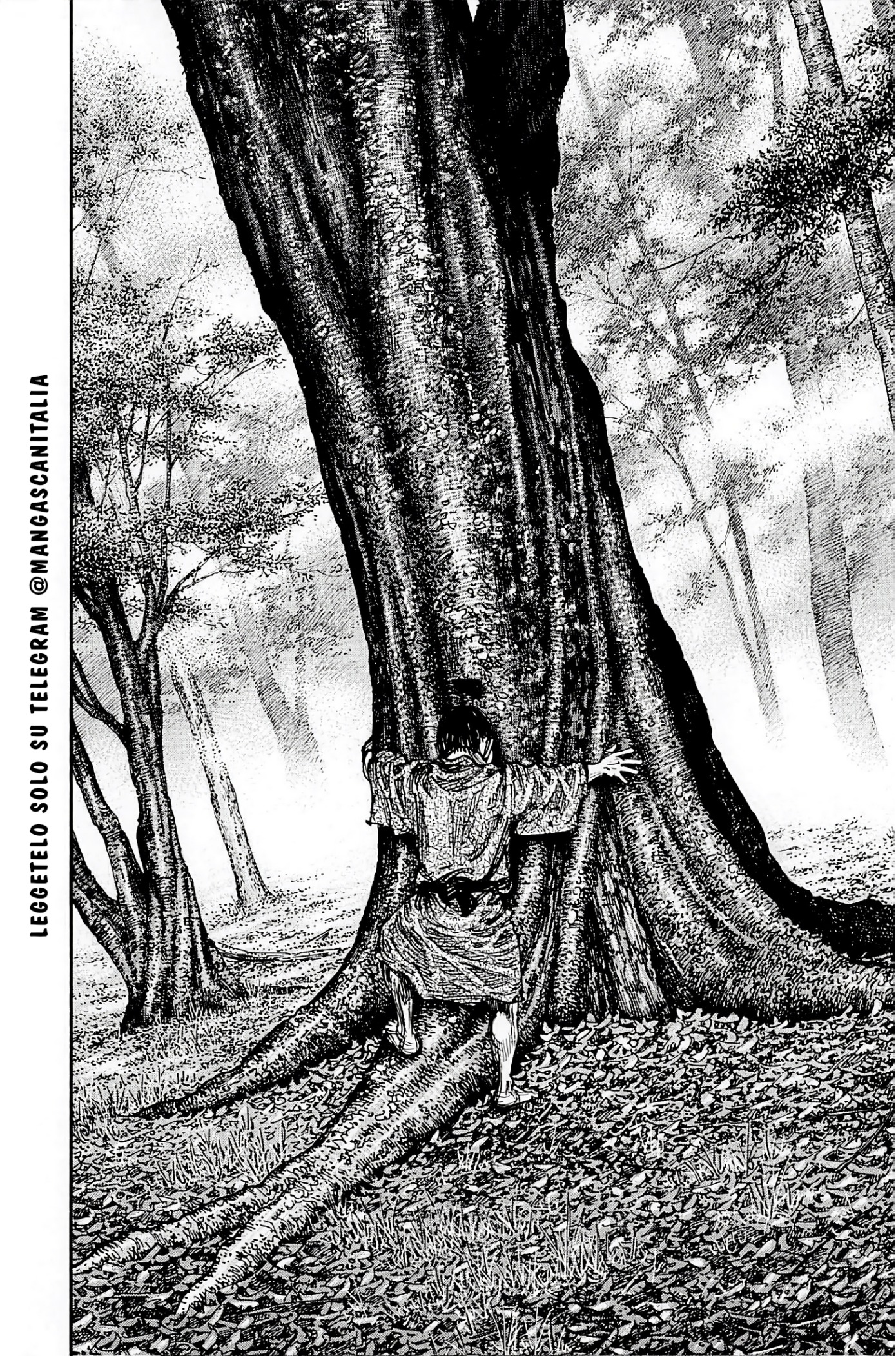 Read Vagabond Vol1 Manga Online