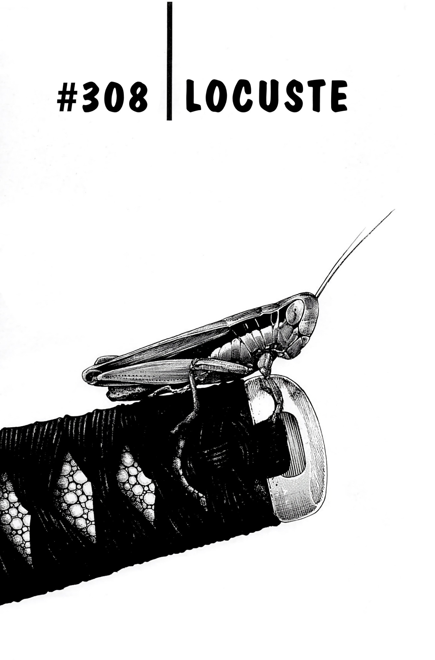 Read Vagabond Vol1 Manga Online