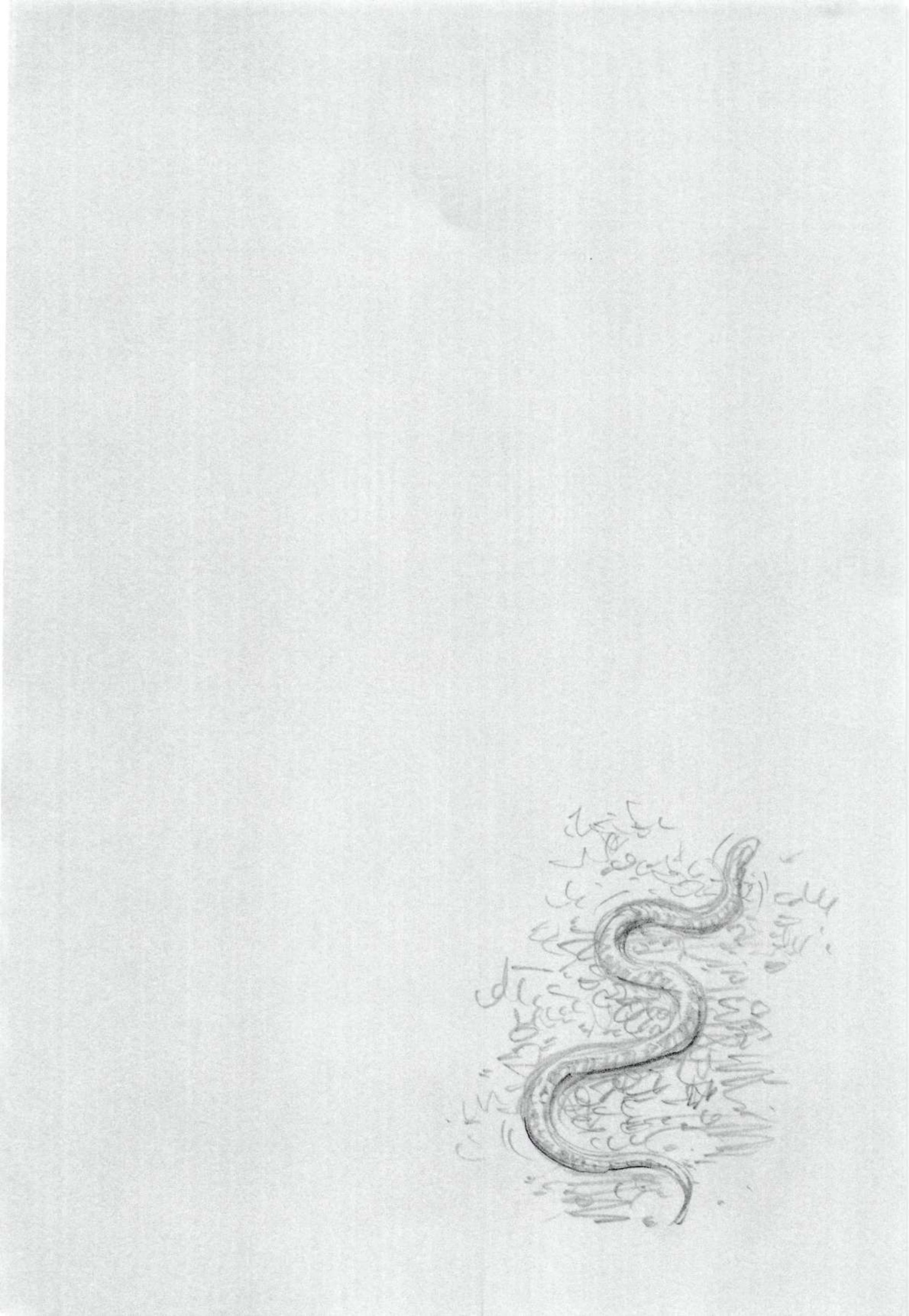 Read Vagabond Vol1 Manga Online