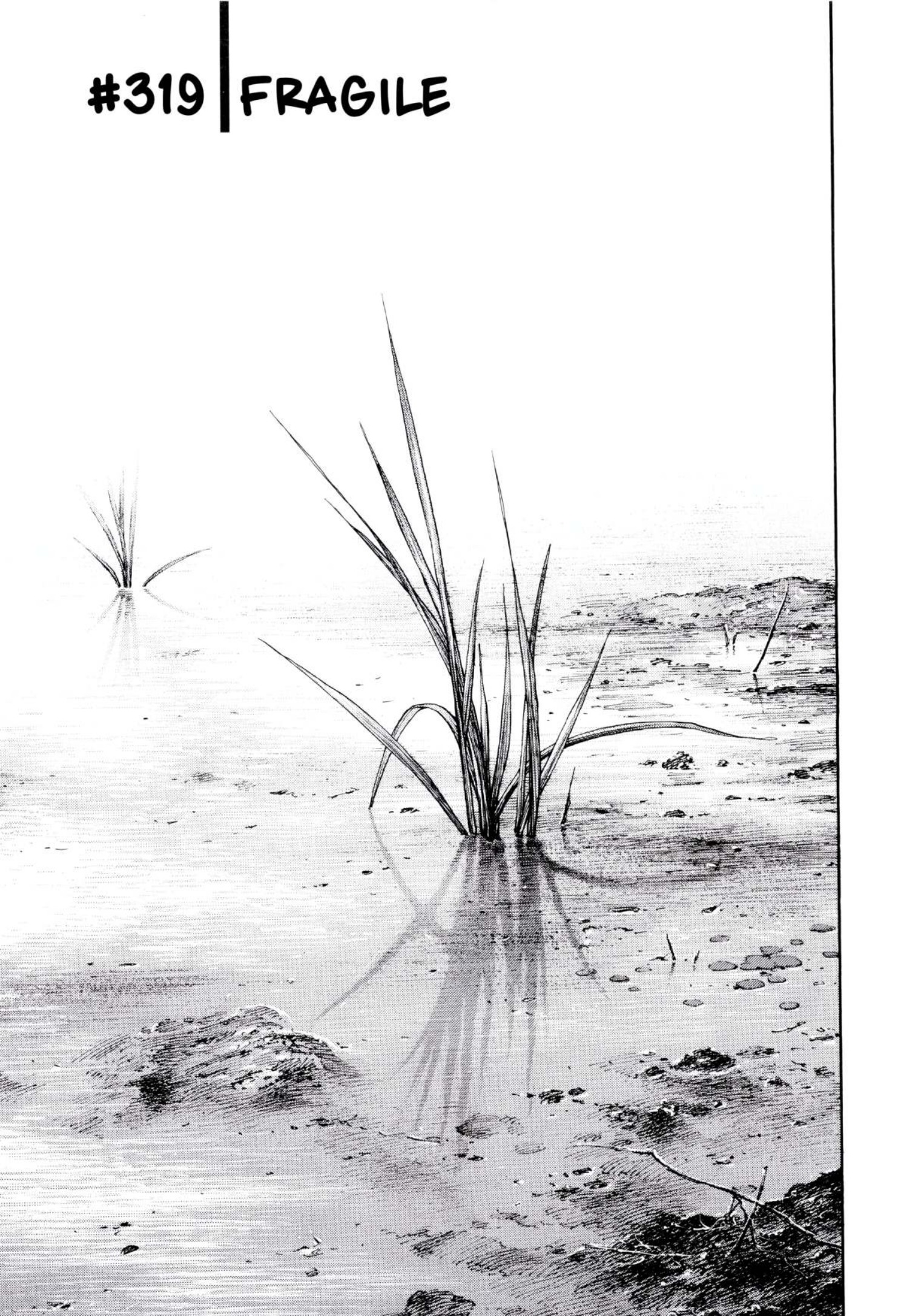 Read Vagabond Vol1 Manga Online