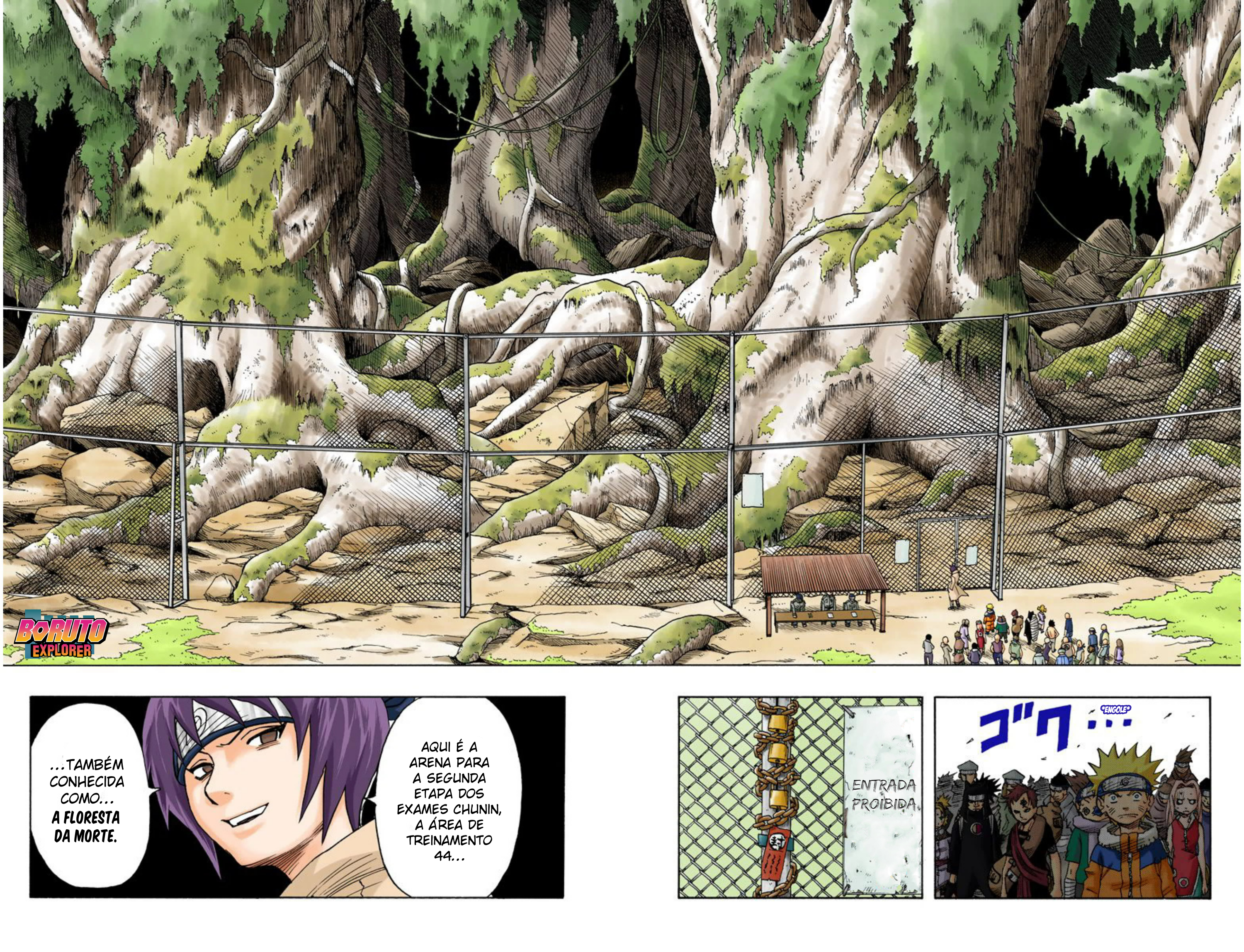 Read Naruto - Versão Colorida Oficial Manga Online