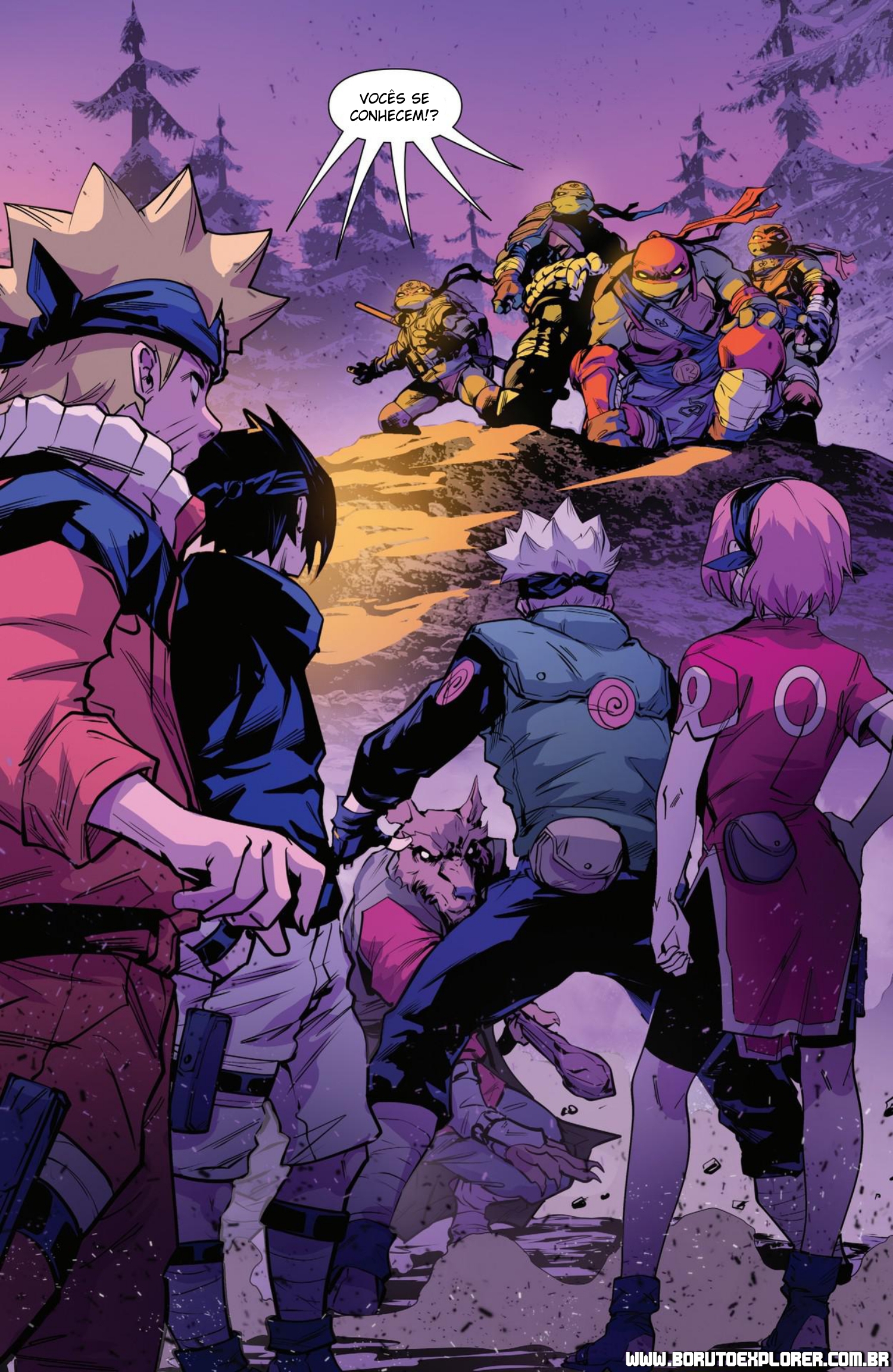 Read Tartarugas Ninjas x Naruto Manga Online