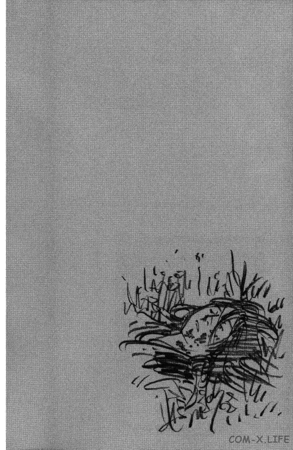 Read Бродяга Manga Online