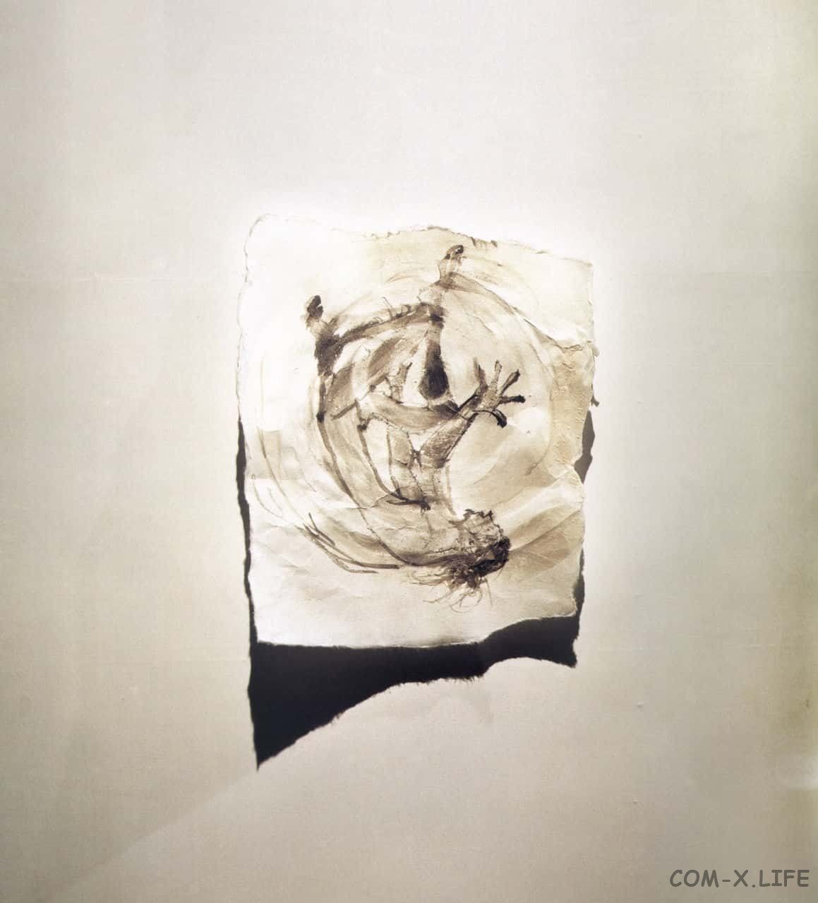 Read Бродяга Manga Online