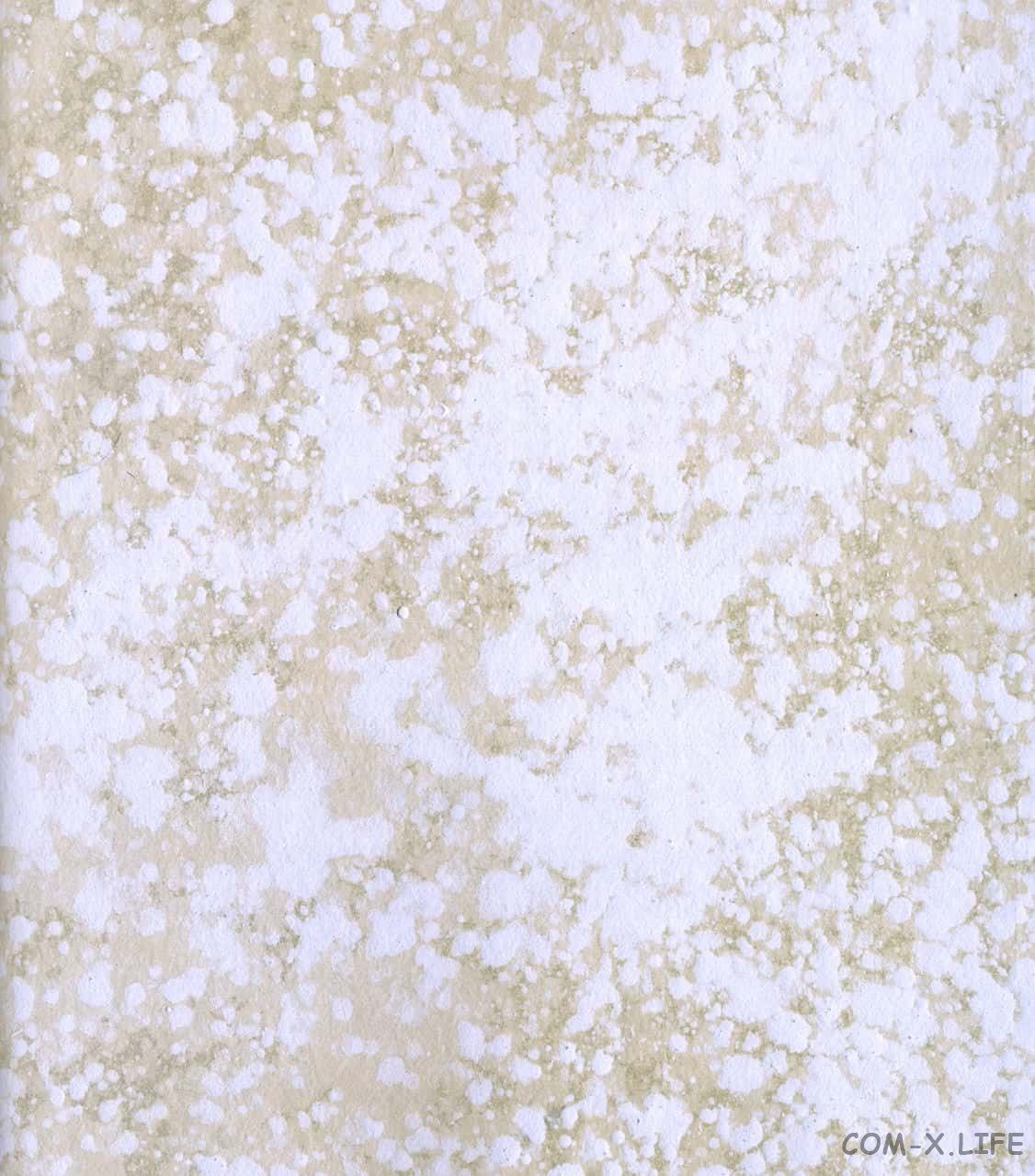 Read Бродяга Manga Online