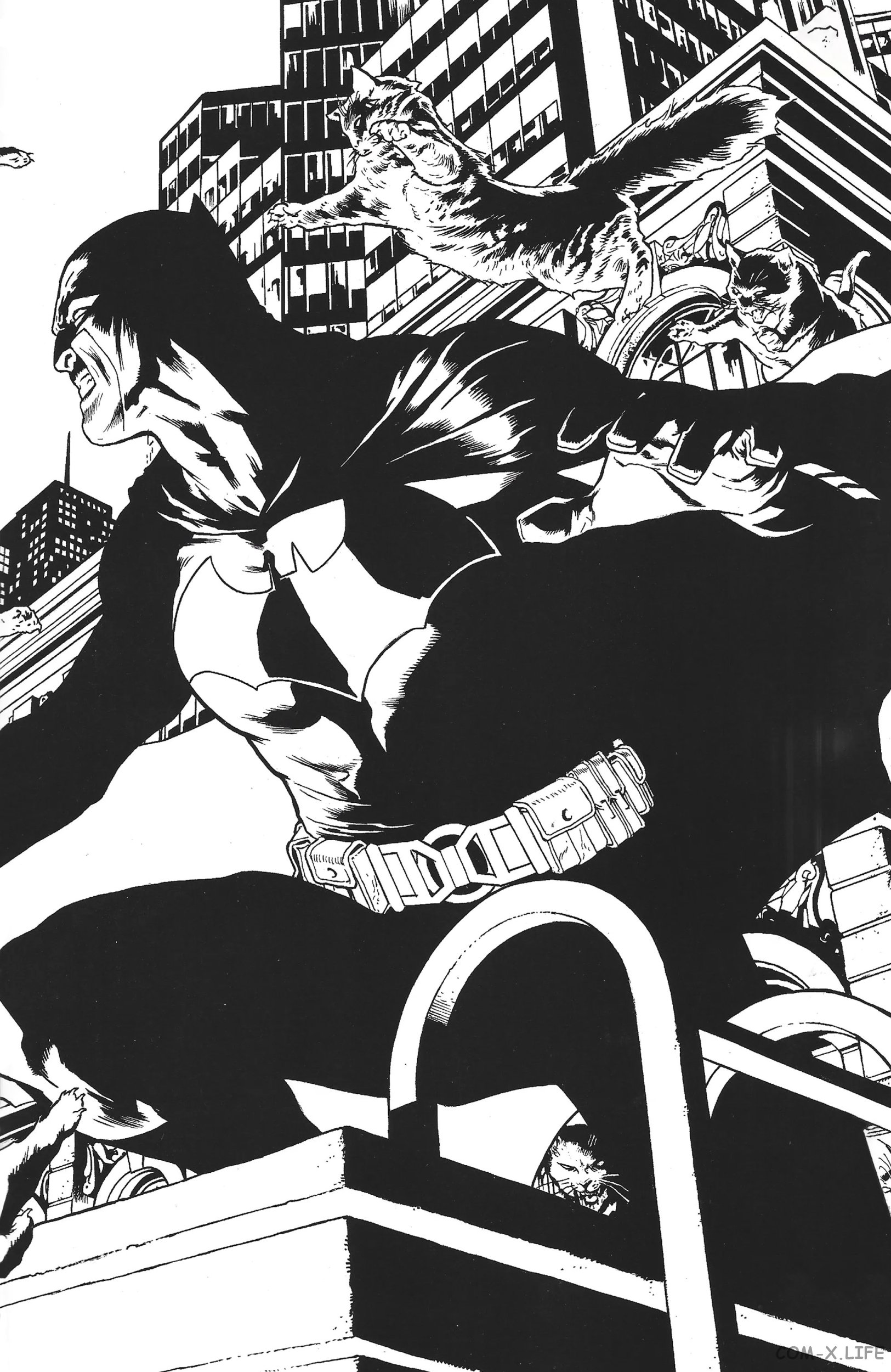 Read Бэтмен том 3 Manga Online