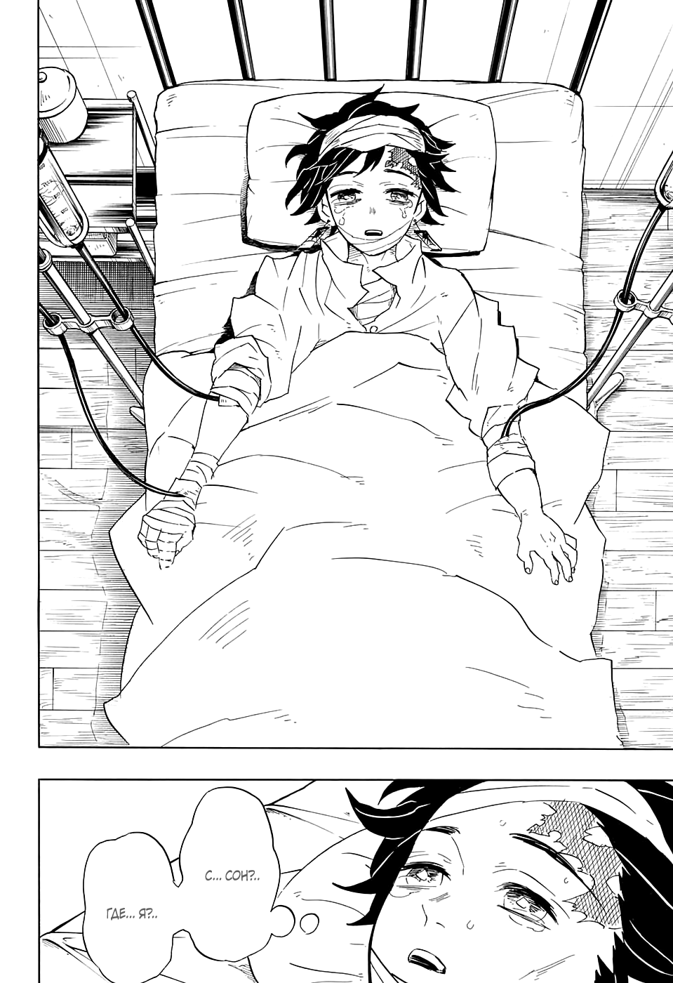 Read Клинок, рассекающий демонов Manga Online