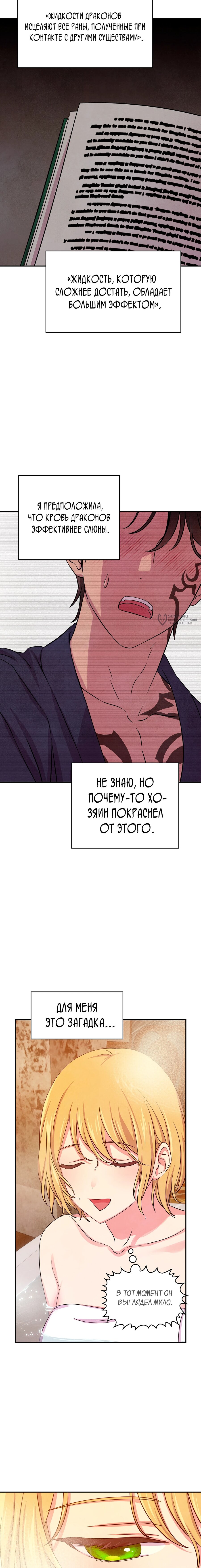 Read Наш хозяин не кусает людей! Manga Online