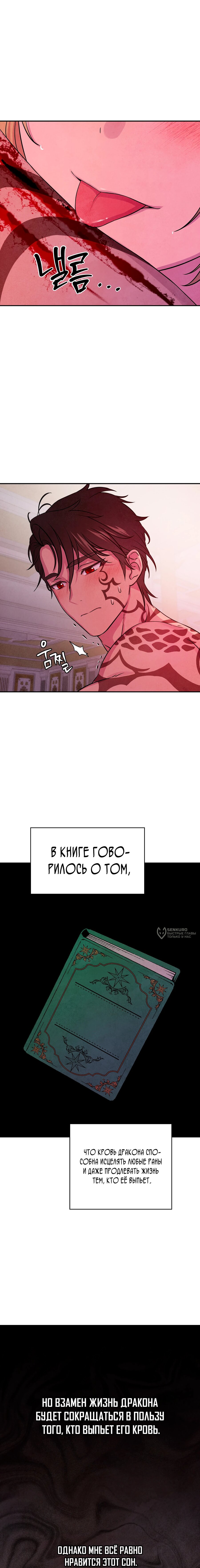 Read Наш хозяин не кусает людей! Manga Online
