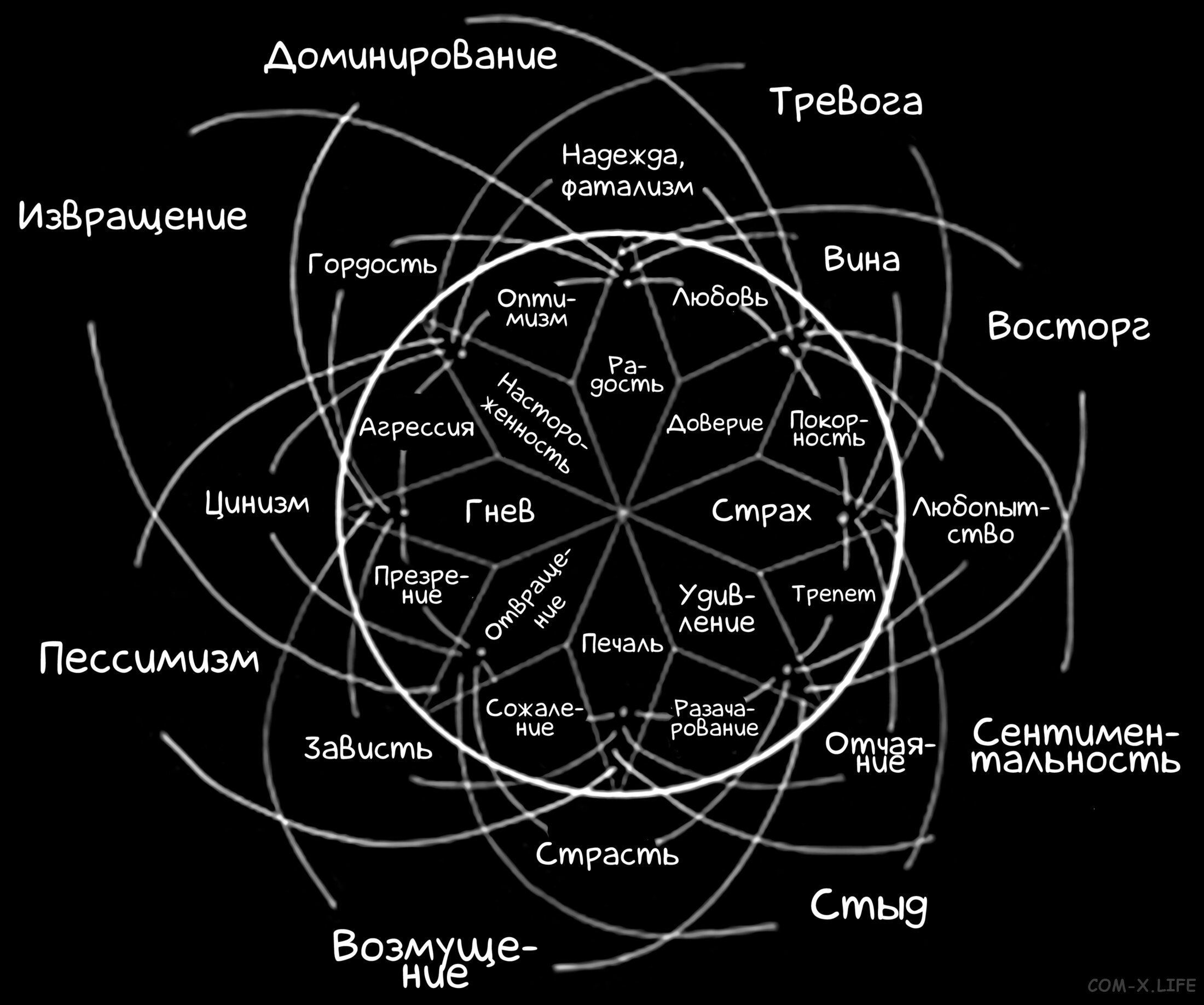 Read Песнь ночных сов Manga Online