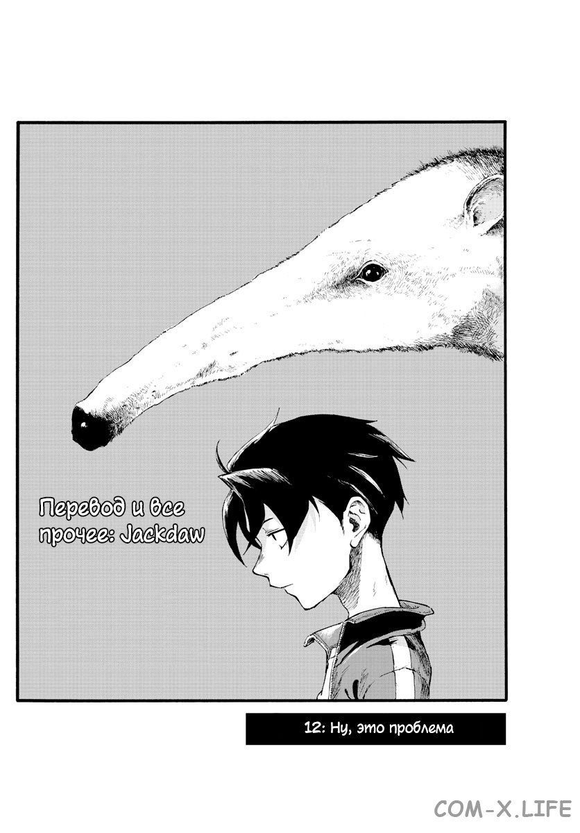 Read Песнь ночных сов Manga Online