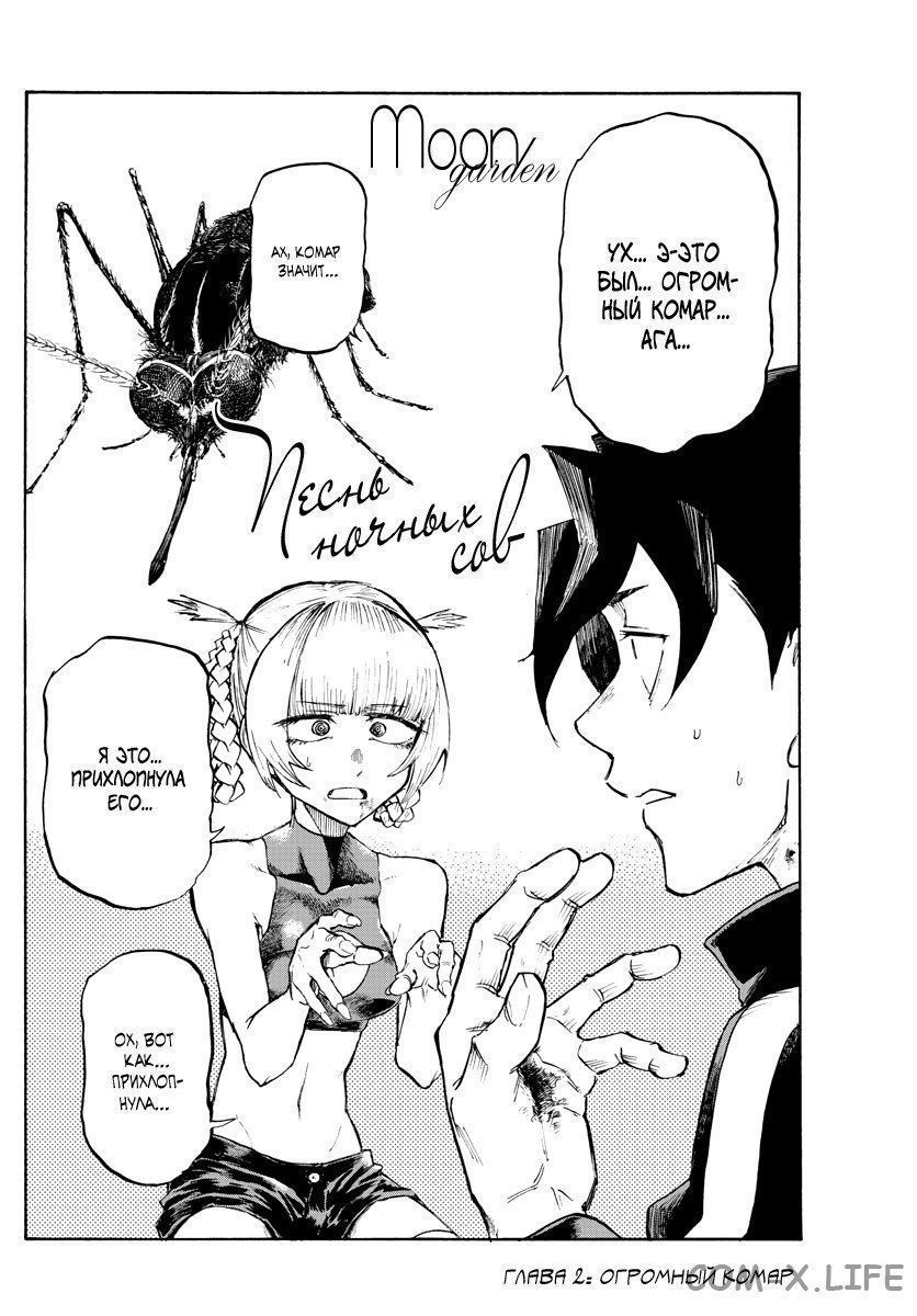 Read Песнь ночных сов Manga Online