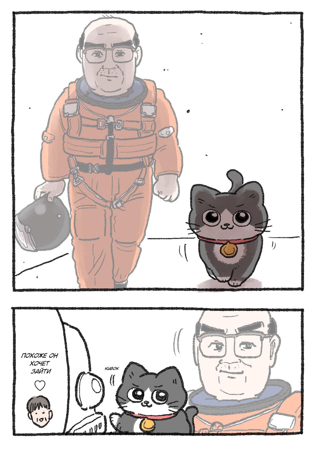 Read Старик, перевоплотившийся в кота Manga Online
