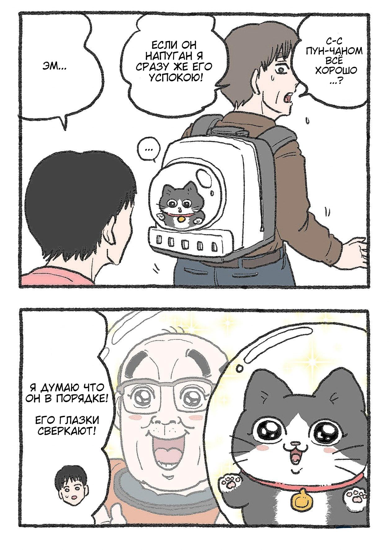 Read Старик, перевоплотившийся в кота Manga Online