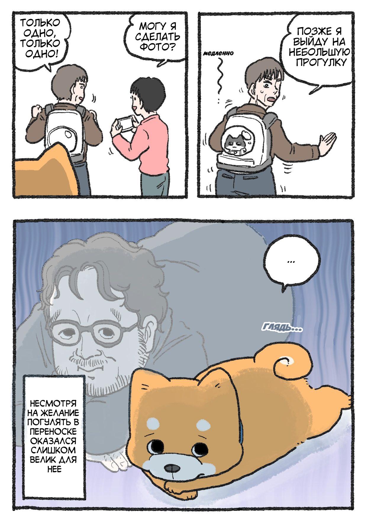 Read Старик, перевоплотившийся в кота Manga Online
